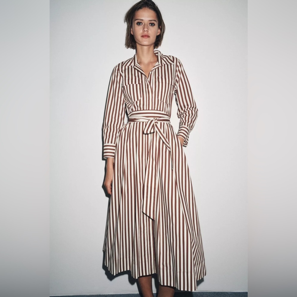 ZARA ZW COLLECTION STRIPED SHIRT DRESS - Picture 1 of 8